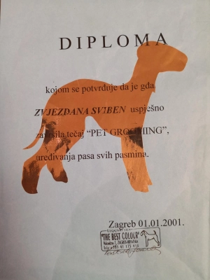 Salon-za-šišanje-i-njegu-pasa-ZVEKI-Zvjezdana-Diploma-2