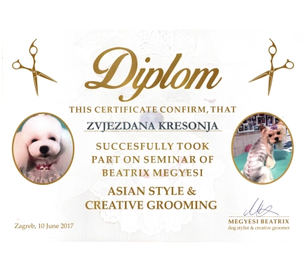 Salon-za-šišanje-i-njegu-pasa-ZVEKI-Zvjezdana-Diploma-3